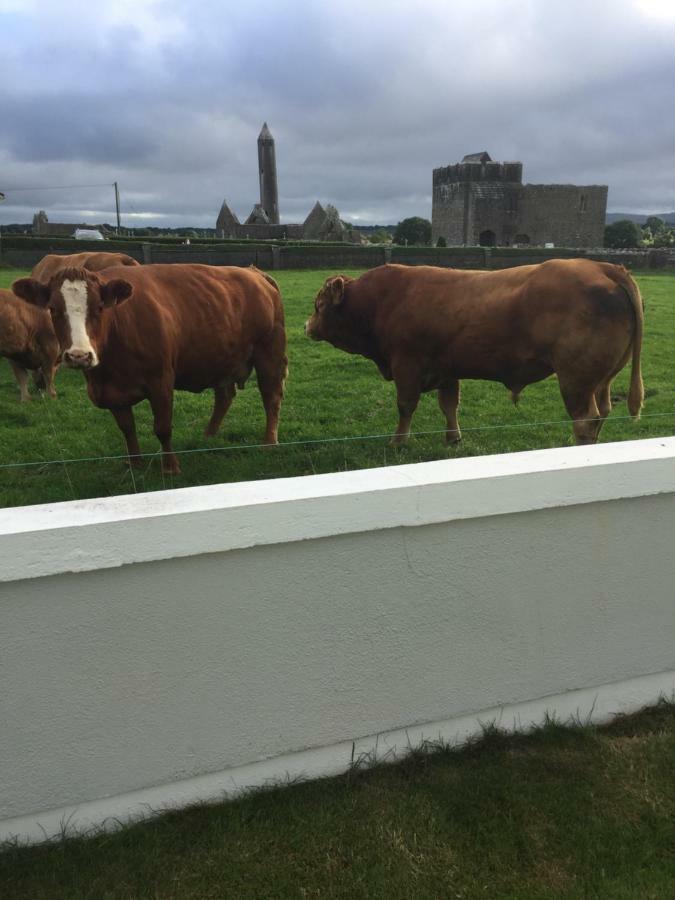 Naomh Colman B&B Gort Exterior foto